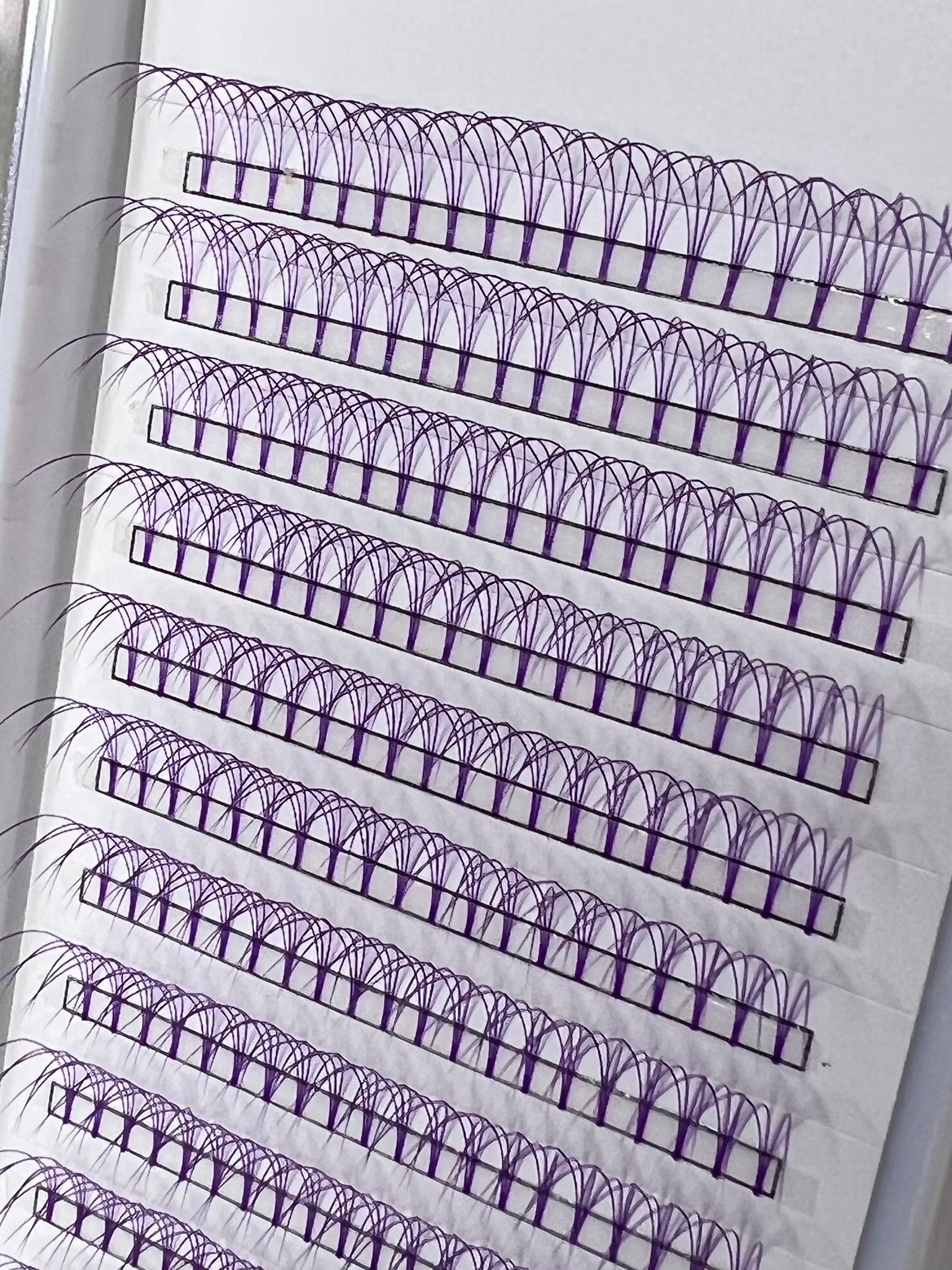 Purple 3D Lash Trays - By Priscilla Martin