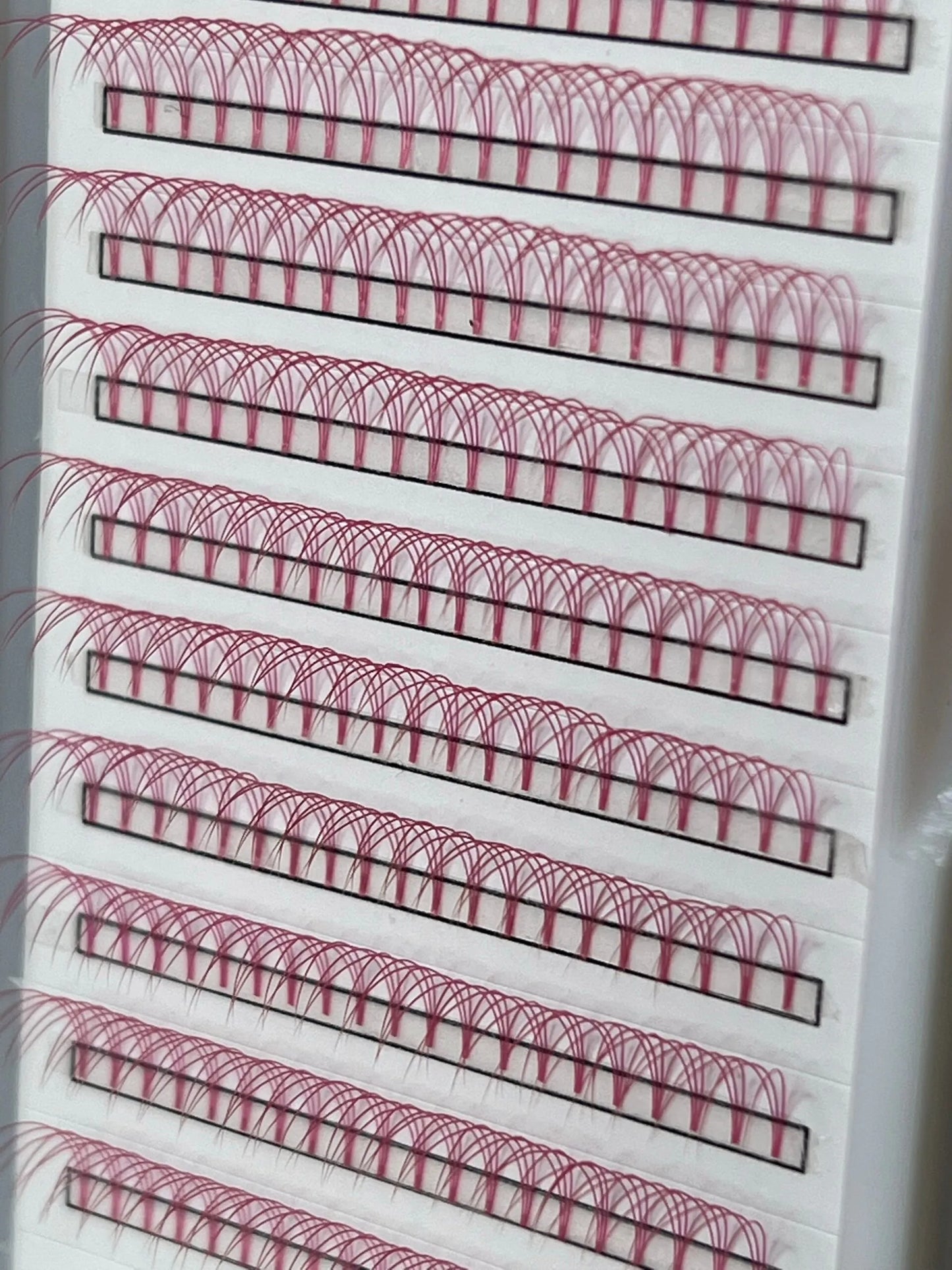 Pink 3D Lash Trays