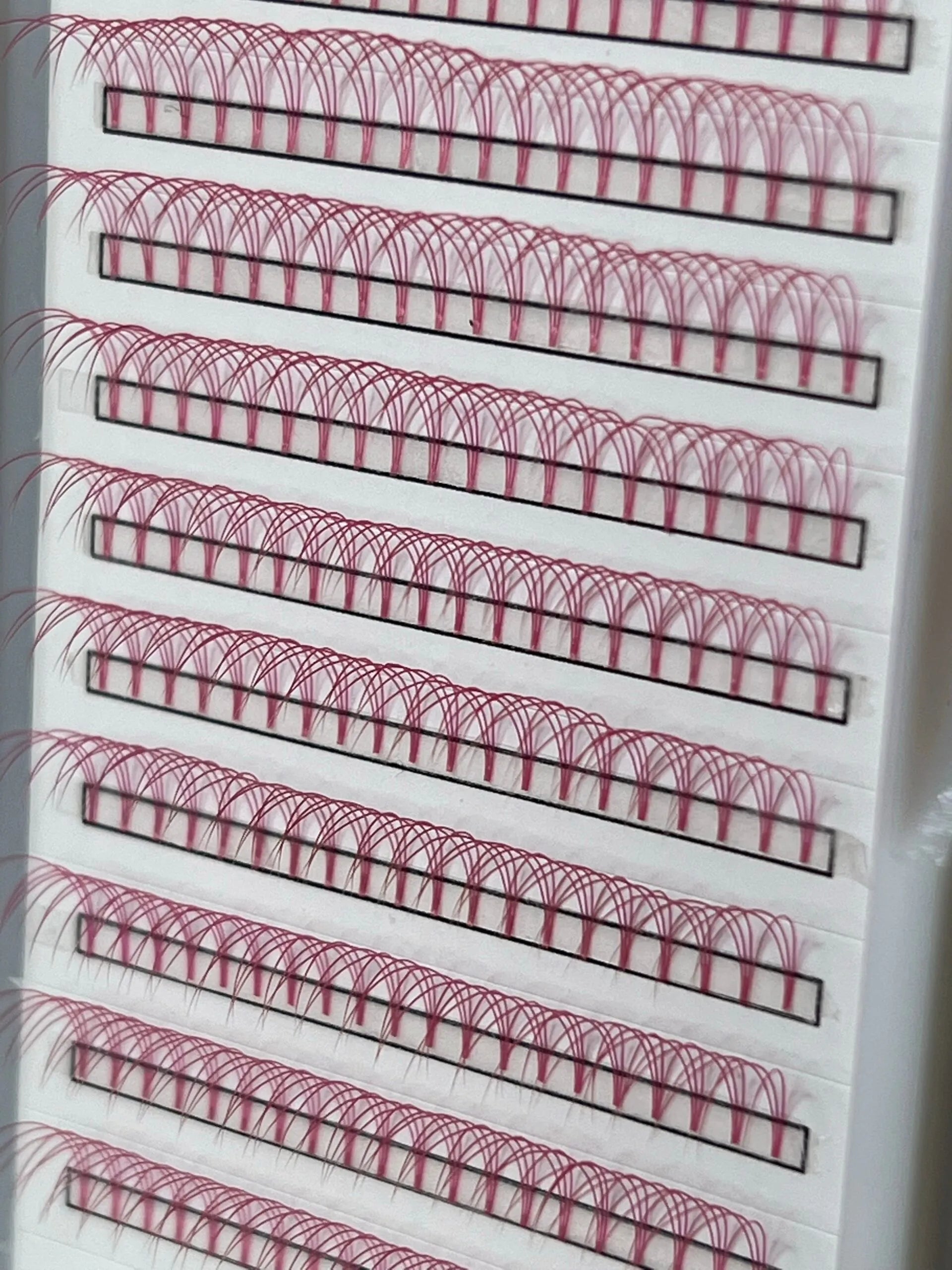 Pink 3D Lash Trays - By Priscilla Martin
