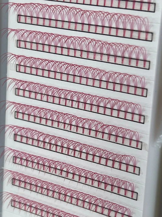 Pink 3D Lash Trays - By Priscilla Martin